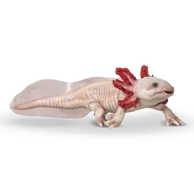 Axolot - Figurine Papo