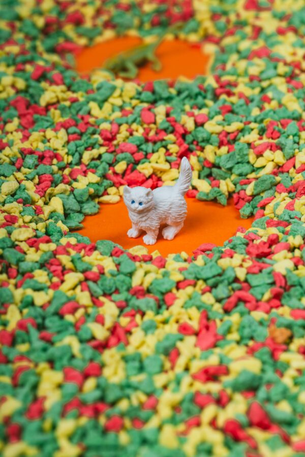 Bouteille sensorielle Spy - Animaux de compagnie – Image 4