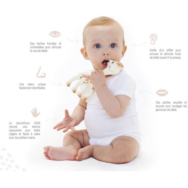Sophie la Girafe – Image 3