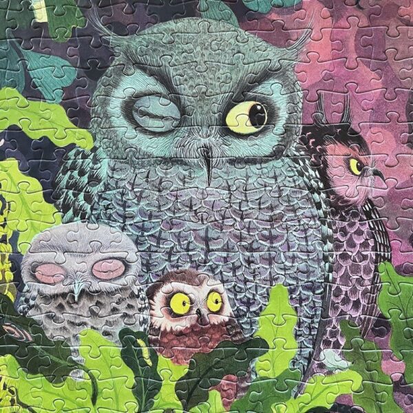 Puzzle gallery 1000p - Hiboux et oiseaux – Image 4