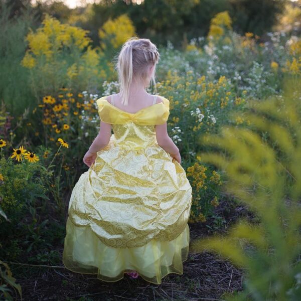 Robe de princesse avec arceau et volants 5-6 ans – Image 2