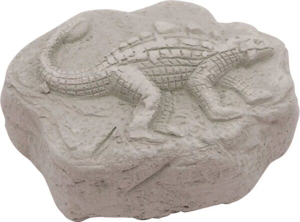Malette explorateur - Jurasic – Image 4