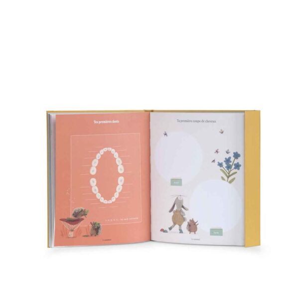3575676780855-livre-de-naissance---trois-petits-lapins