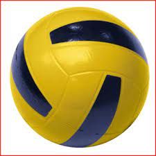 5420057005141-ballon-de-volley-peau-delephant