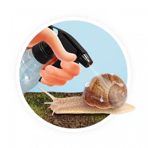 3700802106142-maison-des-escargots