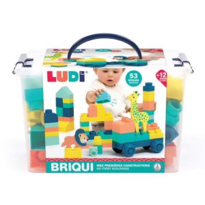 3550833300831-blocs-briqui