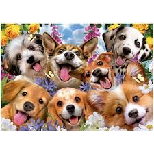 8412668199316-puzzle-educa---1000p---chiots-selfie
