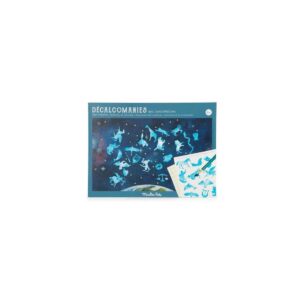3575677124320-carte-du-ciel-avec-decalcomanies