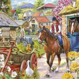 5060002007631-house-of-puzzles---big-500pces---sortir