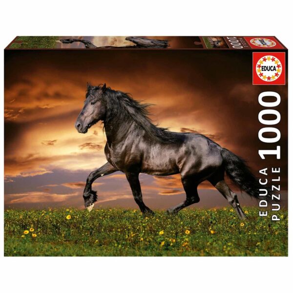 8412668195554-puzzle-educa---1000p---cheval-au-trot