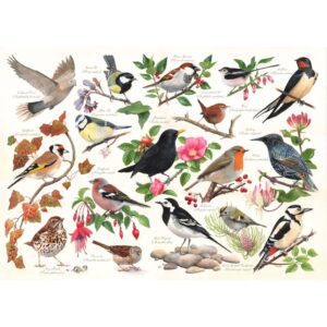 5060002004623-house-of-puzzles---1000pces----oiseaux-dans-mon-jardin
