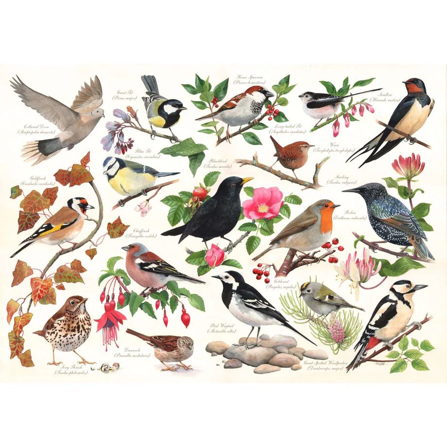 5060002004623-house-of-puzzles---1000pces----oiseaux-dans-mon-jardin