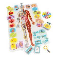 6416739605524-apprenons-le-corps-humain