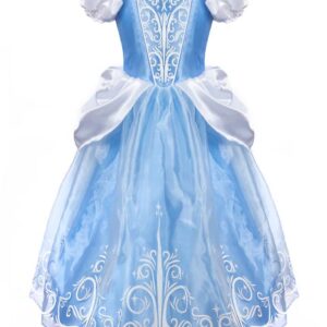771877362859-robe-de-princesse---glass-slipper---56-ans