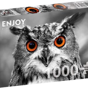 5949194016266-puzzle-enjoy---1000pces---curious-owl